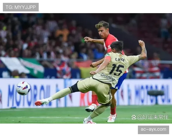 热刺防线焕新，新赛季防守升级助力球队强势反弹