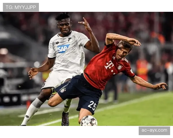 红牛强势领跑德甲，稳扎稳打剑指欧冠资格