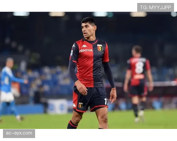 罗梅罗筑起钢铁防线，阿根廷后防展现稳固新气象